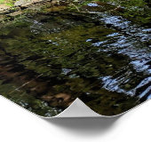 Pink Cherry Blossoms Alongside Pond ポスター (角)