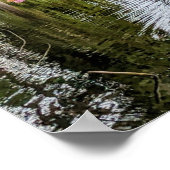 Pink Cherry Blossoms and Pond Photographic ポスター (角)