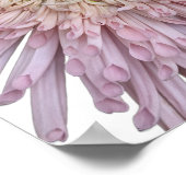 Pink Chrysanthemum Bloom Floral ポスター (角)