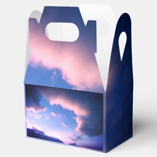 Pink clouds フェイバーボックス (オープン)