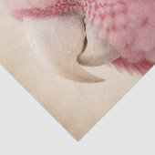 Pink Cockatoo Decoupage Tissue Paper 薄葉紙 (詳細)