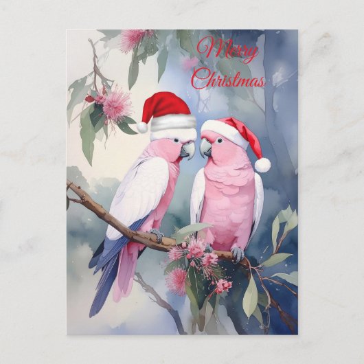 Pink Cockatoos Santa Hat Merry Christmas ポストカード (正面)
