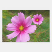 Pink Cosmos Flowers Wildflower ラッピングペーパーシート (正面)
