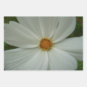 Pink Cosmos Flowers Wildflower ラッピングペーパーシート (正面3)