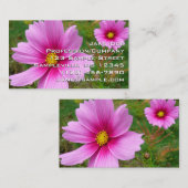 Pink Cosmos Flowers Wildflower 名刺 (正面/裏面)