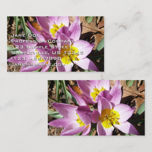 Pink Crocuses Spring Floral 名刺 (正面/裏面)