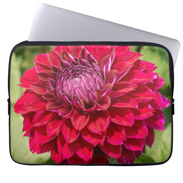 Pink Dahlia Delight：美しい花写真 ラップトップスリーブ (正面)