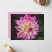 Pink Dahlia Flower Art Note Card Set ノートカード (正面/裏面インサイチュ)