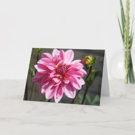 Pink Dahlia Greeting Card 案内状