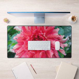 Pink Dahlia Photography, Canadian Flower デスクマット