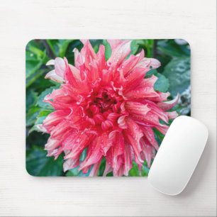 Pink Dahlia Photography, Canadian Flower マウスパッド