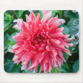 Pink Dahlia Photography, Canadian Flower マウスパッド (正面)
