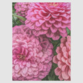 Pink Dahlias Flowers 薄葉紙 (正面)