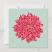 Pink Dahlie (正面)