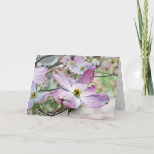 Pink Dogwood Blossoms Christian Note Card カード (正面)