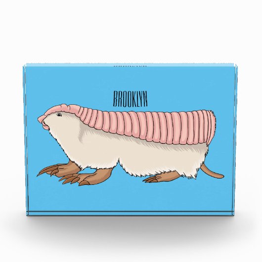 Pink fairy armadillo cartoon illustration  フォトブロック (正面)