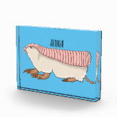 Pink fairy armadillo cartoon illustration  フォトブロック (右)