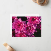 Pink Fall Mums ノートカード (正面/裏面インサイチュ)