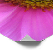 Pink Fantasy - Poster ポスター (角)