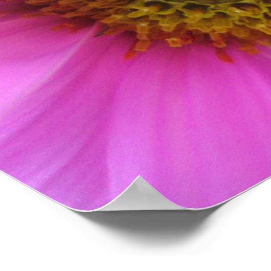 Pink Fantasy - Poster ポスター (角)