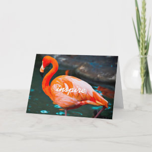 Pink Flamingoフォトスクインスパイアリプトスタイリッシュモダン カード