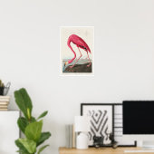 Pink Flamingo by Audubon Poster ポスター (ホームオフィス)