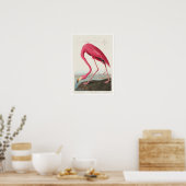 Pink Flamingo by Audubon Poster ポスター (キッチン)