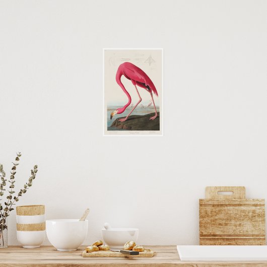 Pink Flamingo by Audubon Poster ポスター (キッチン)