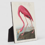 Pink Flamingo by John Audubon フォトプラーク (側面)