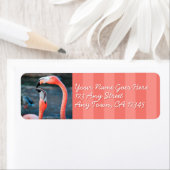 Pink flamingo friendsフォトカスタムスクリプトアドレス ラベル (インサイチュ)