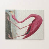 Pink Flamingo from Birds of America ジグソーパズル (横)