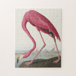 Pink Flamingo from Birds of America ジグソーパズル