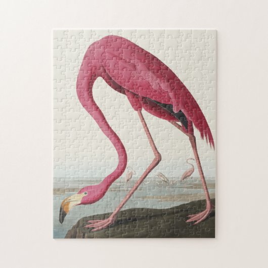 Pink Flamingo from Birds of America ジグソーパズル (縦)
