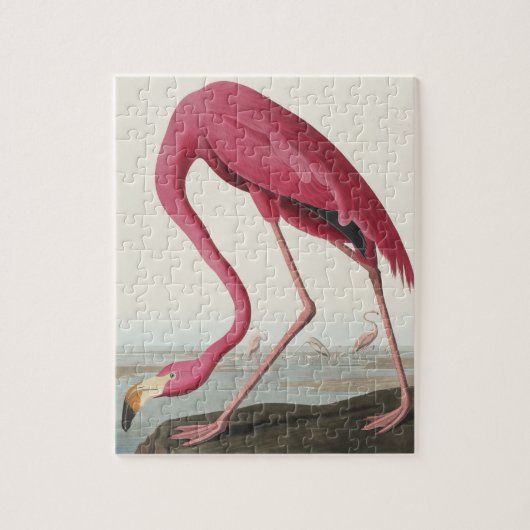 Pink Flamingo from Birds of America ジグソーパズル (縦)
