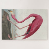 Pink Flamingo from Birds of America ジグソーパズル (横)