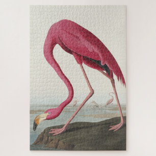 Pink Flamingo from Birds of America ジグソーパズル