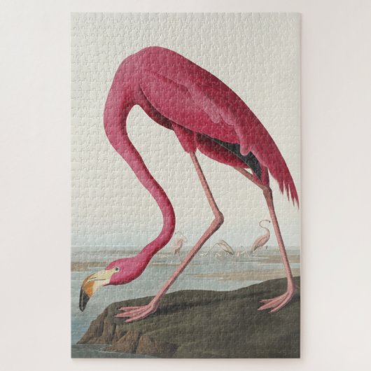 Pink Flamingo from Birds of America ジグソーパズル (縦)