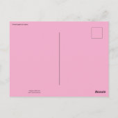 pink flamingo in the water ポストカード (裏面)