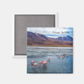 Pink Flamingoes in Bolivia マグネット (正面/裏面)