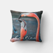 Pink Flamingosフォトベスティーススクリプトはっきりしたモダン クッション (正面)