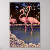Pink Flamingos, Florida ポスター (正面)