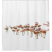 Pink Flamingos Shower Curtain シャワーカーテン (正面)
