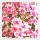 Pink Floral Bloom Pattern – Soft Botanical Design スクエアシール (正面)