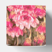 Pink Floral Bloom Pattern – Soft Botanical Design フェイバーボックス (上部)