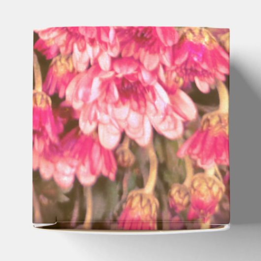 Pink Floral Bloom Pattern – Soft Botanical Design フェイバーボックス (上部)