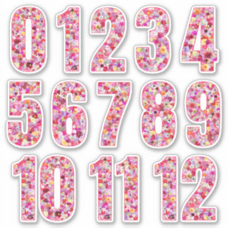 Pink Floral Numbers Twelve Months  シール