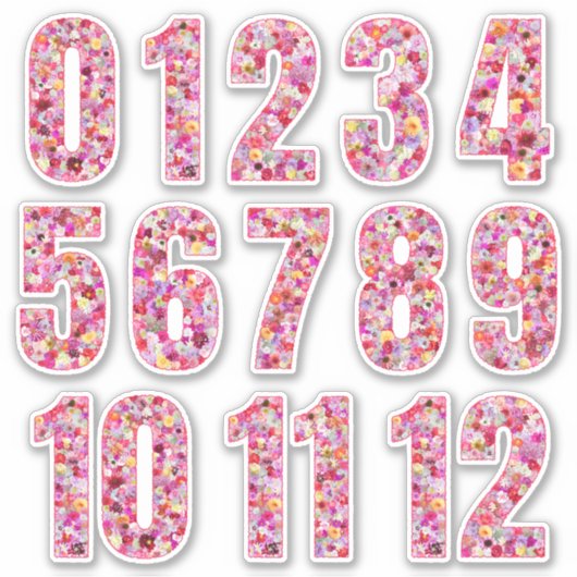 Pink Floral Numbers Twelve Months  シール (正面)