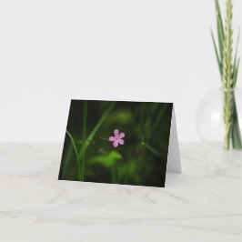 Pink Flower サンキューカード
