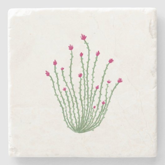 Pink Flower Ocotillo Cactus Desert Stone Coaster ストーンコースター (正面)