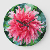 Pink Flower Photography, Canadian Dahlia ラージ壁時計 (正面)